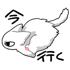 Whitecat!!!!!