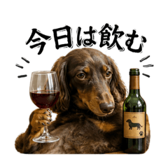 Akane_20260514153538