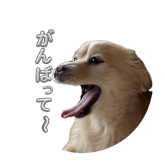 yuki_20260514154357