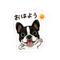 yoshi_20260514063151