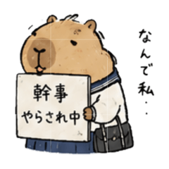 Lazy Capybara Schoolgirl