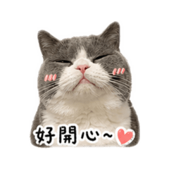 小Ri 的快樂日常