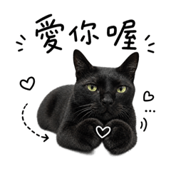 密Q花沐巧芙♡