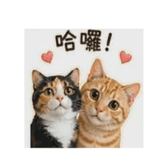 自用(ai
