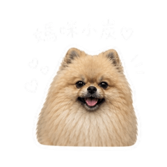 媽咪小炭第一彈