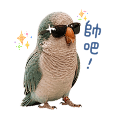 ㄍㄟˇ瓜鳥寶