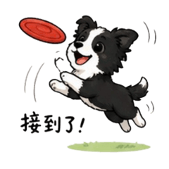 汪！今天也被邊境療癒了