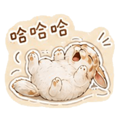 軟軟語錄