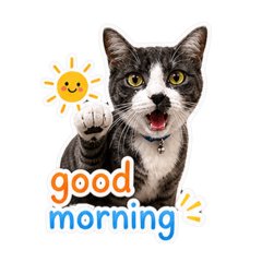 Cute bright little girl cat