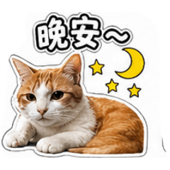 阿寶最乖乖