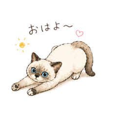 Everyday Cute Cats Vol.2