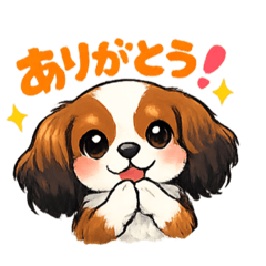 kokone_20260514082146