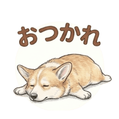 Lovely Corgi's Everyday Conversation 2