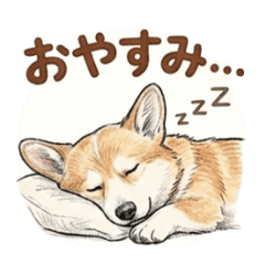 Lovely Corgi's Everyday Conversation