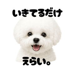 Hanni._20260514094710
