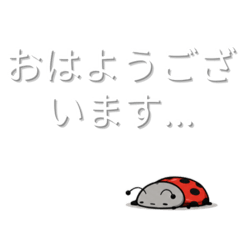 Nikora_20260514110046