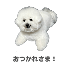 ikemo_20260514120007