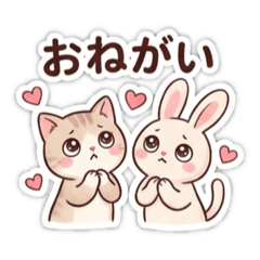 kotaro_20260514123934