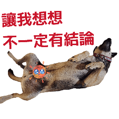 老王的狗第二彈