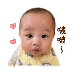 控肉豬2