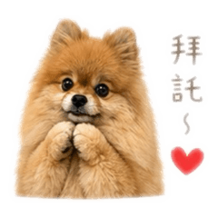 Yummy寶寶