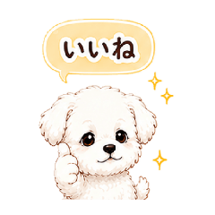 aya_20260514135952