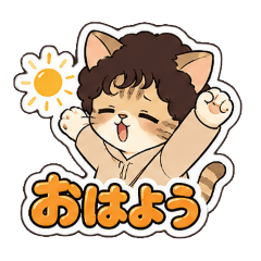 A curly-haired cat's greeting