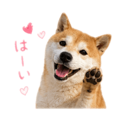 Yj channel_3