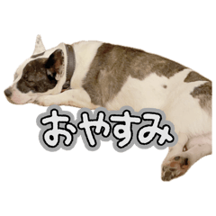 runa_20260514153051