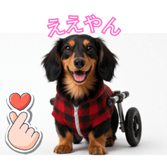mugimilk_20260515
