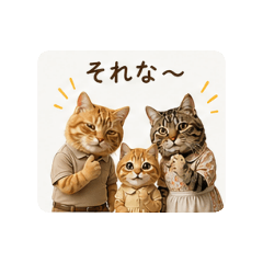 momorinko_20260514150833