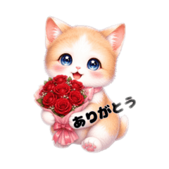 Cat Lose_20260514150504