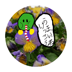 inakanotarou_20260514155249
