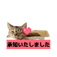 hikarichan_20260514155537