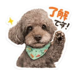 ryo_20260514154135