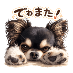 Hide_20260514160332