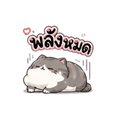 Fat cat runs out of energy