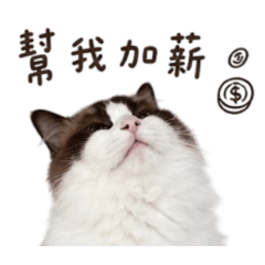 超可愛阿布