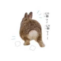 小不點 ╰♡
