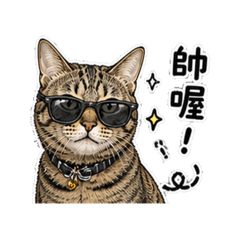 小虎斑雷雷喵