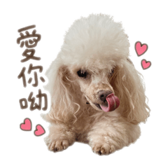 小珍珠 嘻嘻