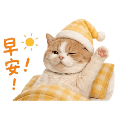 包包本貓搞笑日常1