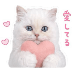 RURUMIchan
