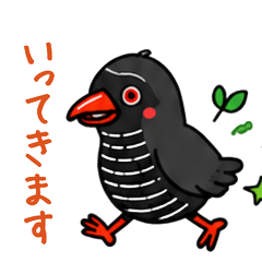 Yanbaru Kuina