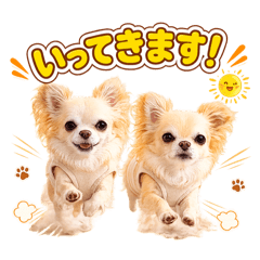 maltipoo komugi_20260514154538