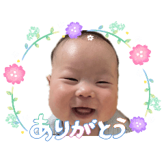chicken_bj_20260514161256