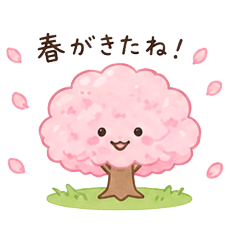 Kazamegu_20260514161551