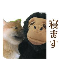 DAIFUKU_20260514163116