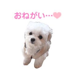 TSUKI_20260514162813