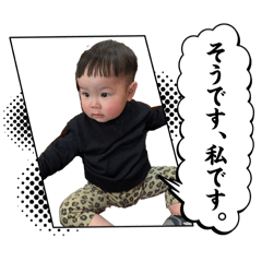 koga_20260514164031